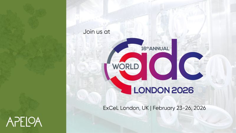 graphical user interface